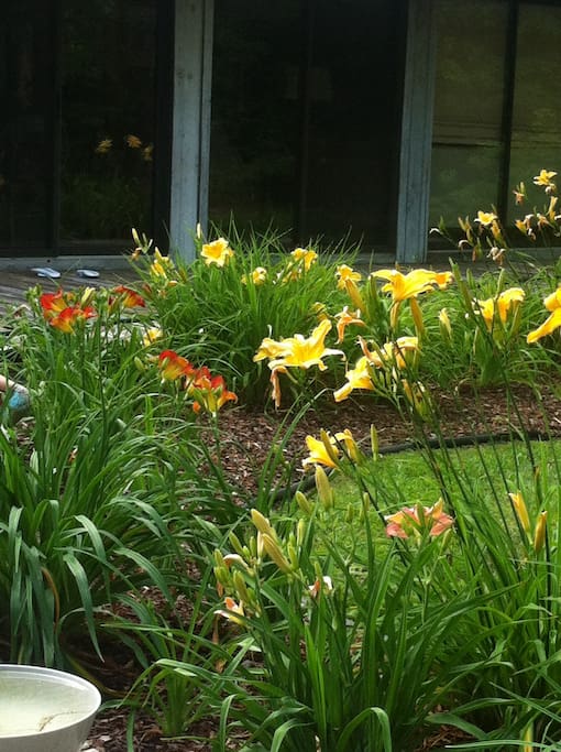 Pretty landscaping