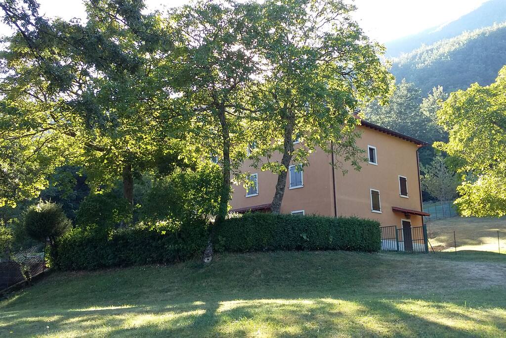 EXTERNAL | GARDEN