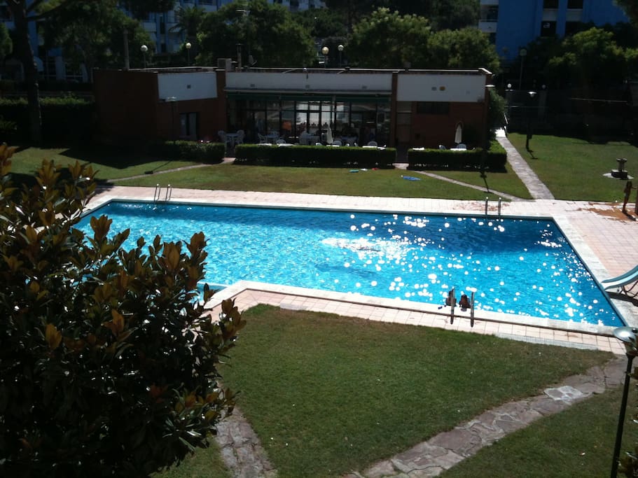 grande piscine dans jardin privé