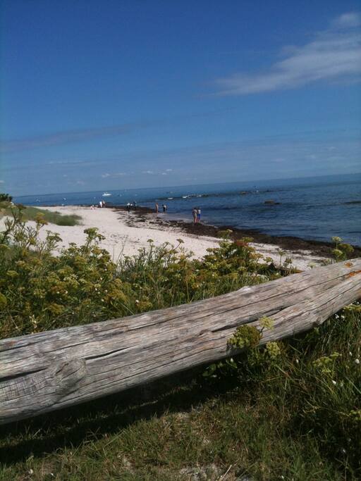 Banc dans le jardin pour contempler la mer