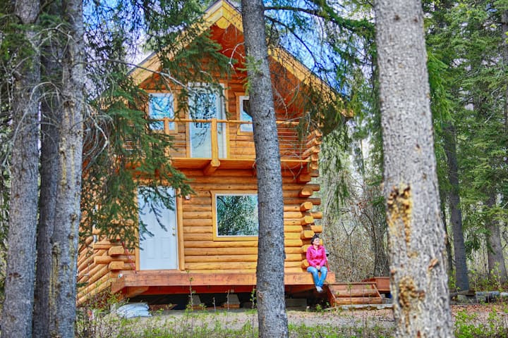 Cozy Alaskan Log Cabin Cabins For Rent In Fairbanks Alaska United States