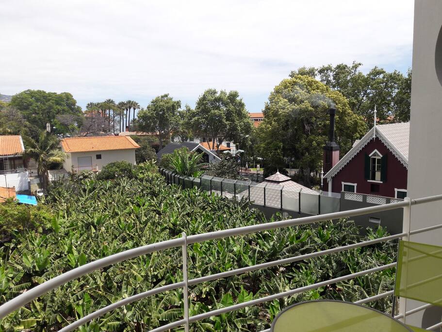 Balcony over looking banana plantation.