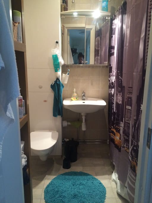 Toilet with shower