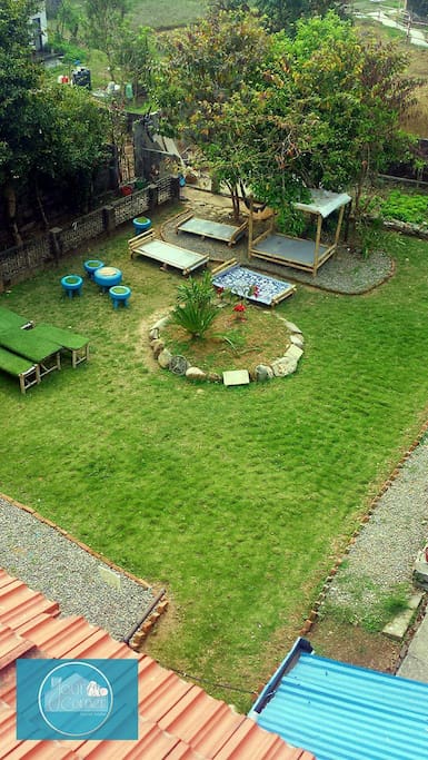 Backyard Garden