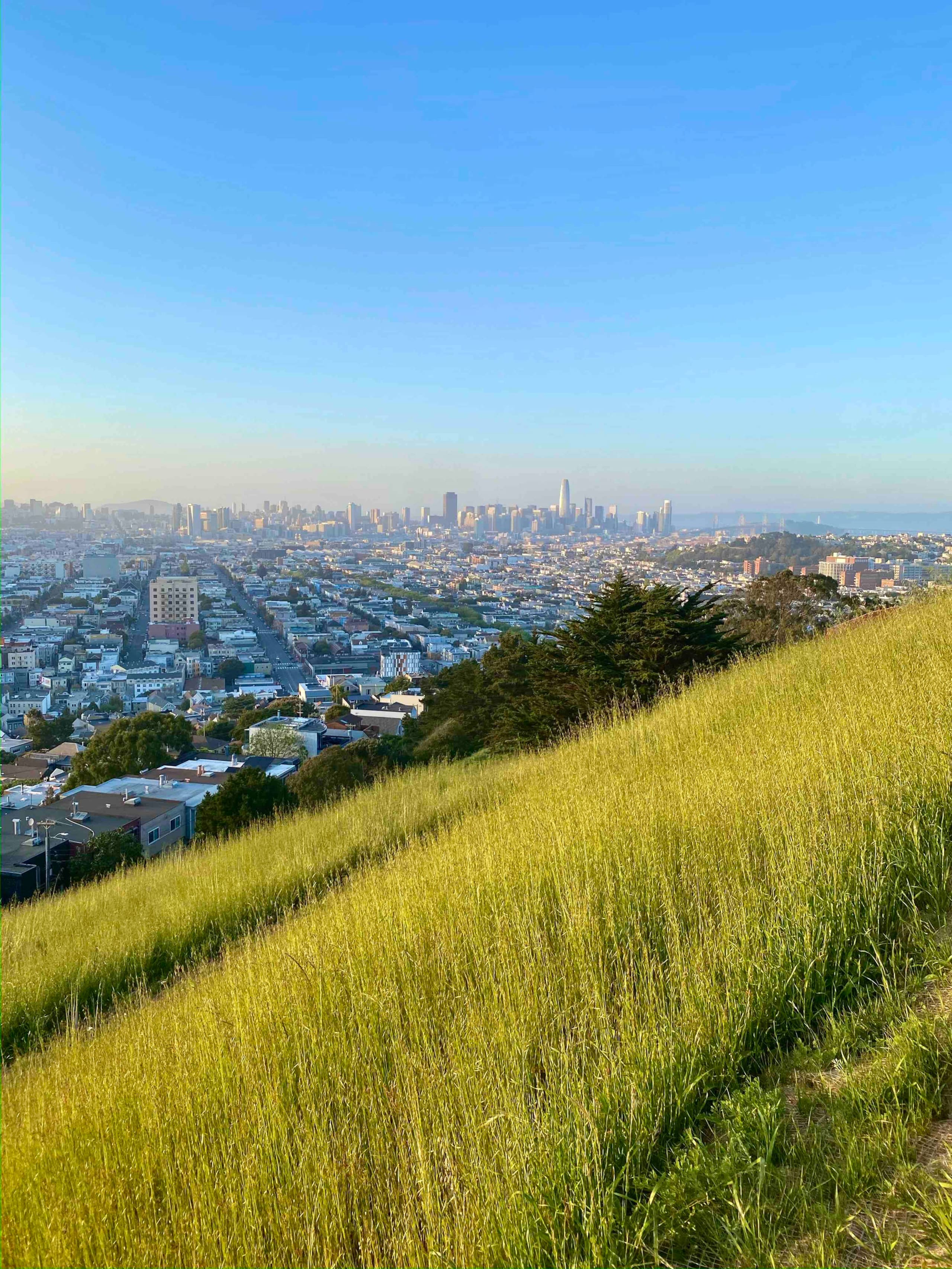 Home in San Francisco · ★4.95 · 3 bedrooms · 3 beds · 1.5 baths - Image 32
