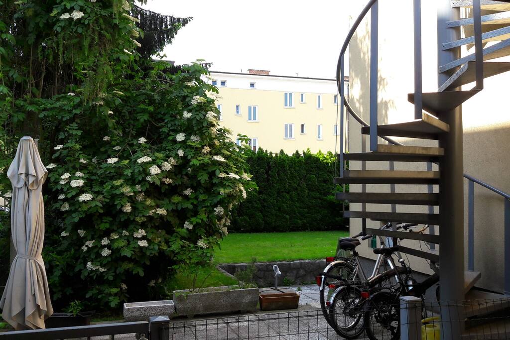 Stairs and terrace garden.