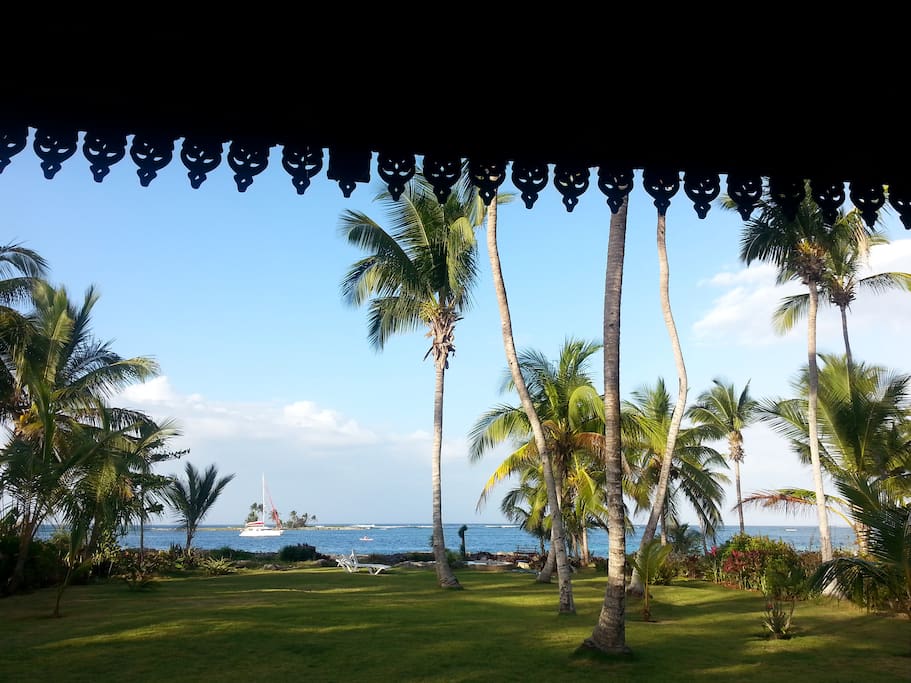 l'ile aux cocotiers vue de la terrasse