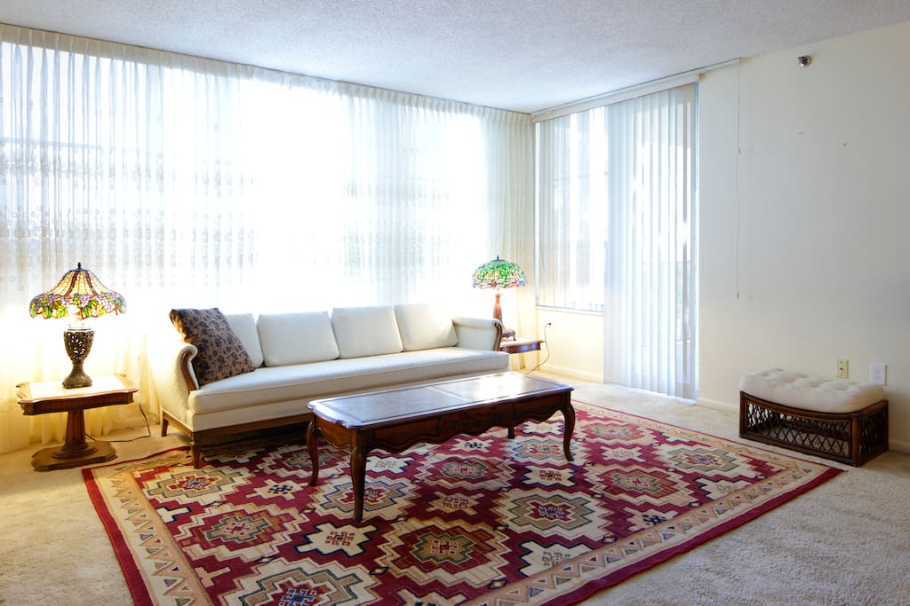 Sunny Spacious Condo with a Huge Terrace