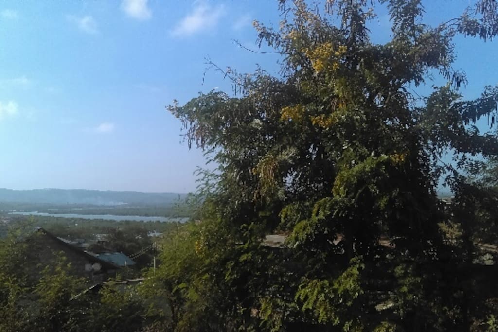 the lagoon's view from the house's backyard