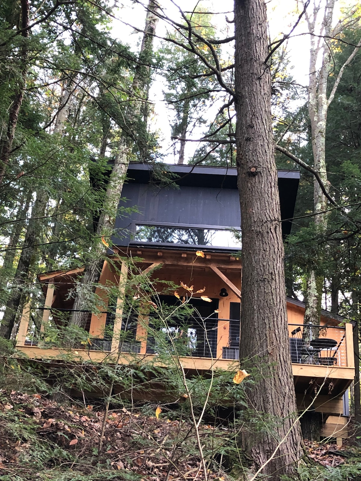 The treehouse is nestled among tall trees, showcasing a modern design with large windows on the upper level. The wooden deck wraps around the structure, inviting outdoor leisure amidst the natural surroundings. The forest floor is partially covered with fallen leaves and greenery.