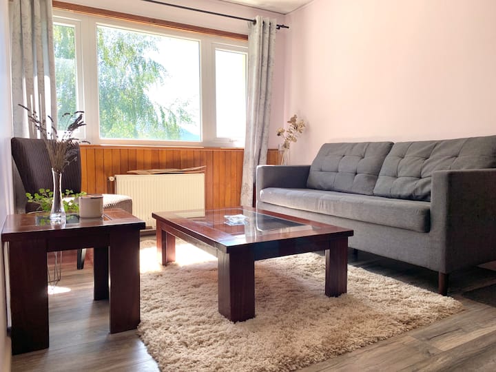 Comfortable and central apartment