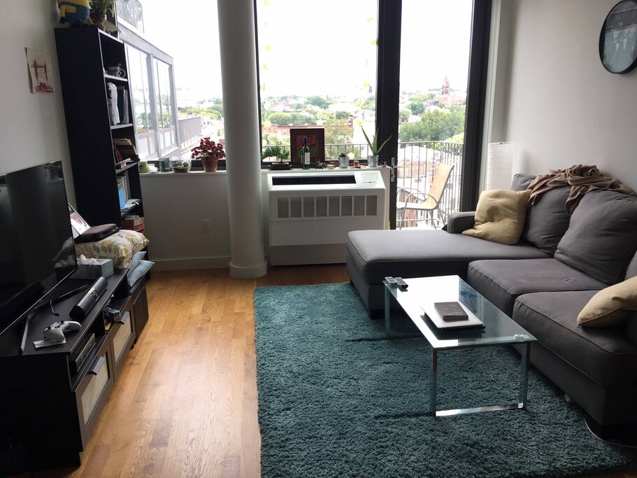 TV in living room. Living room has large couch and room for an air mattress (available)