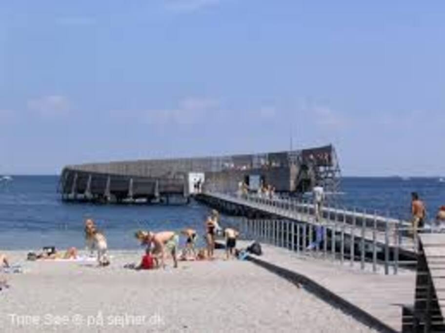 The beach at Amager Strandpark