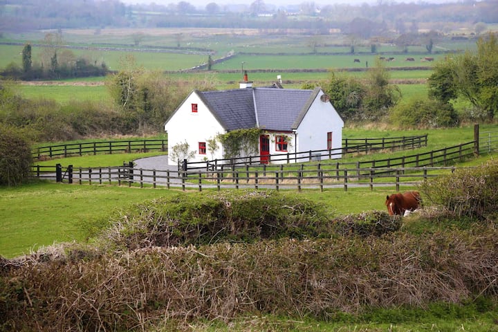 Rath Vacation Rentals & Homes - County Offaly, Ireland | Airbnb