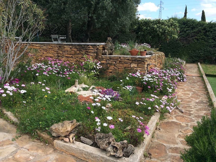 Le jardin au printemps