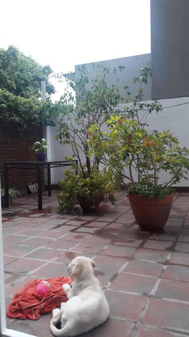 Patio 30 m2