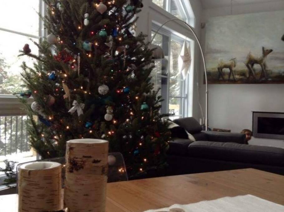 Sera décoré pour votre séjour à Noël