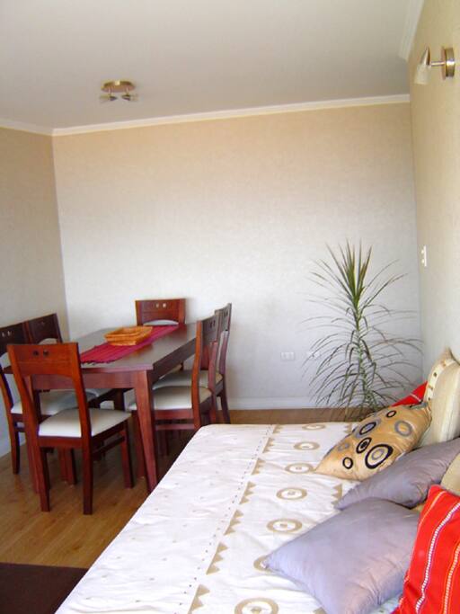 Living y mesa principal