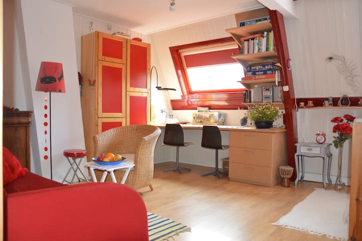 Ruime, lichte kamer nabij centrum