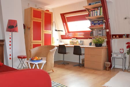 Ruime, lichte kamer nabij centrum