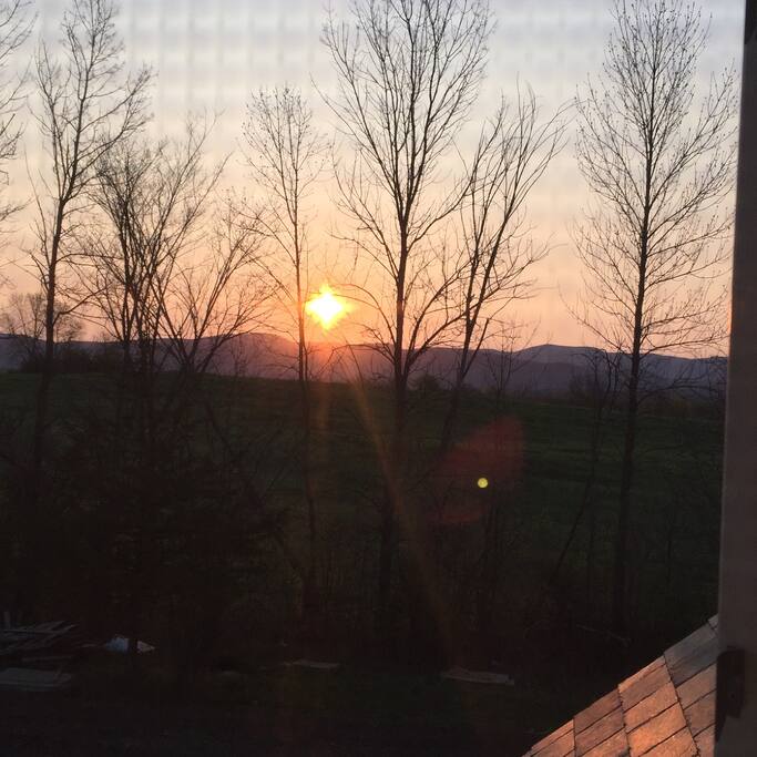 View from Master Bedroom window
