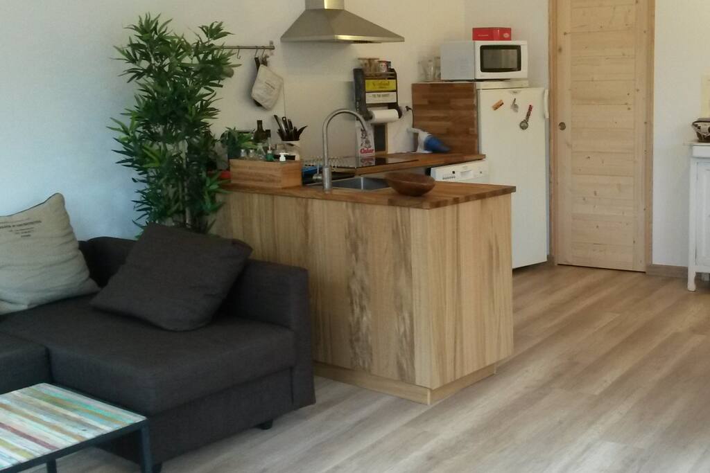 le salon/cuisine