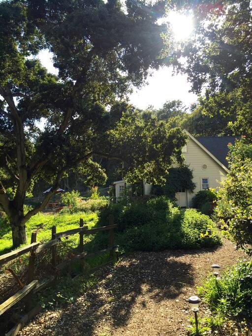 Remarkable Reader's Garden Retreat in the Country Houses for Rent in