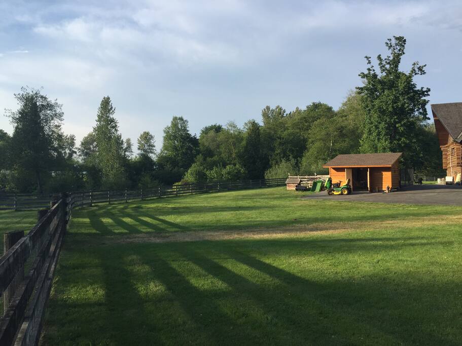Yard