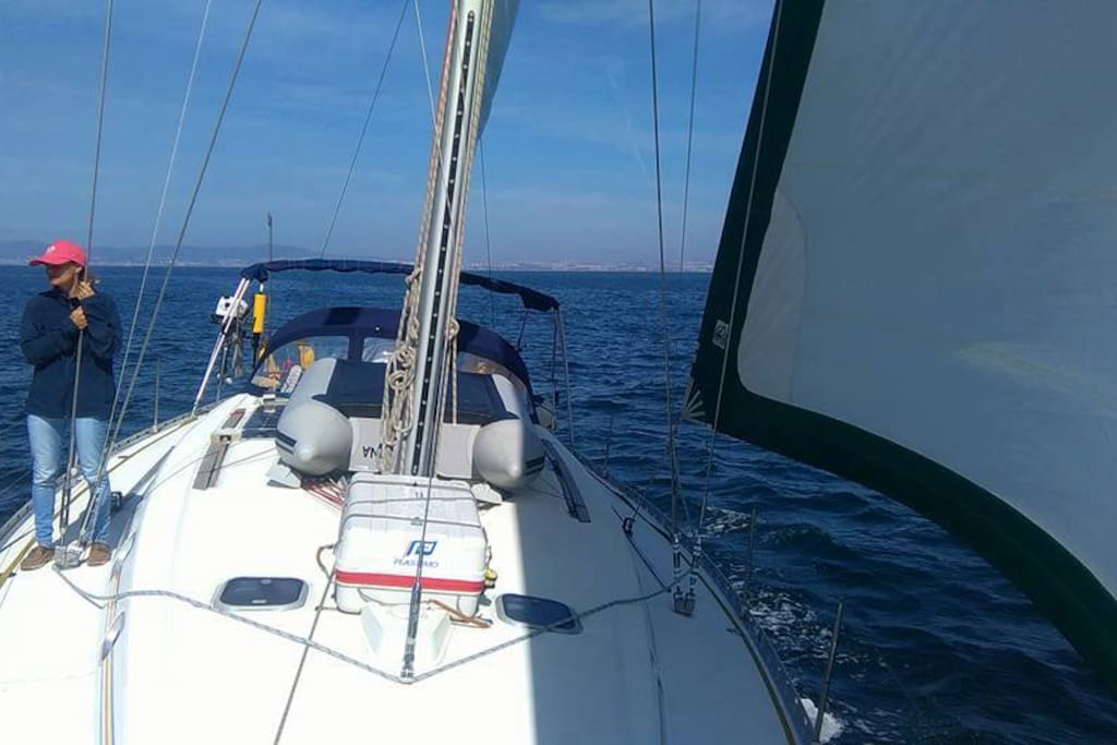 Under Sail