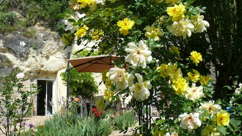 Troglodyte "Butterfly"