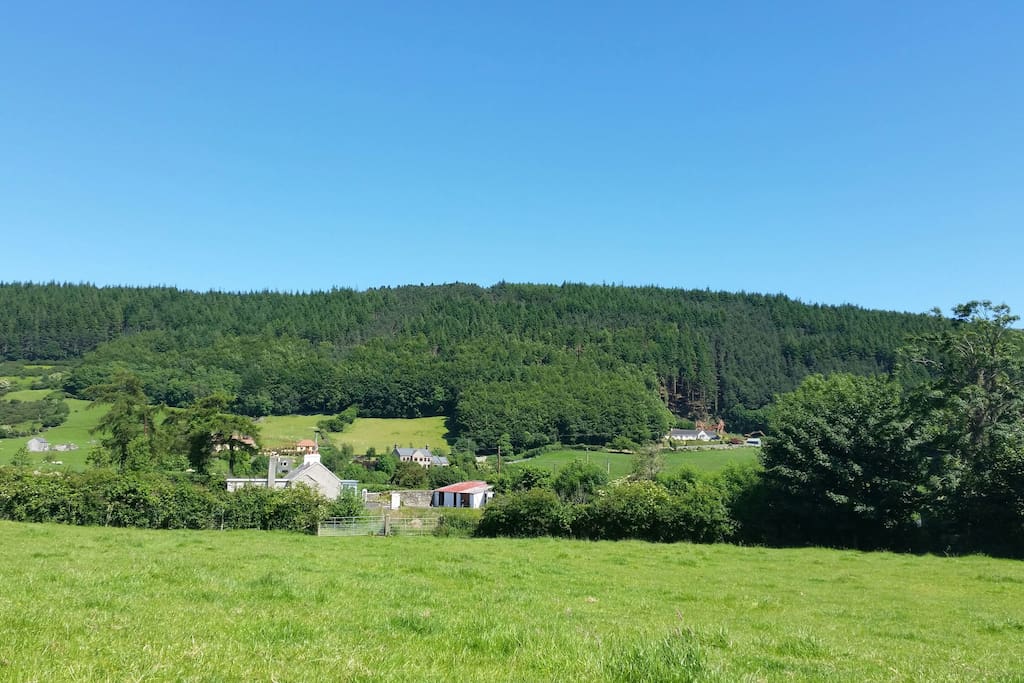 The setting