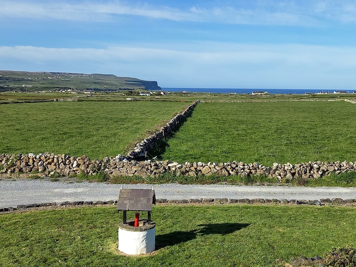 Enclosure in Ballycahan