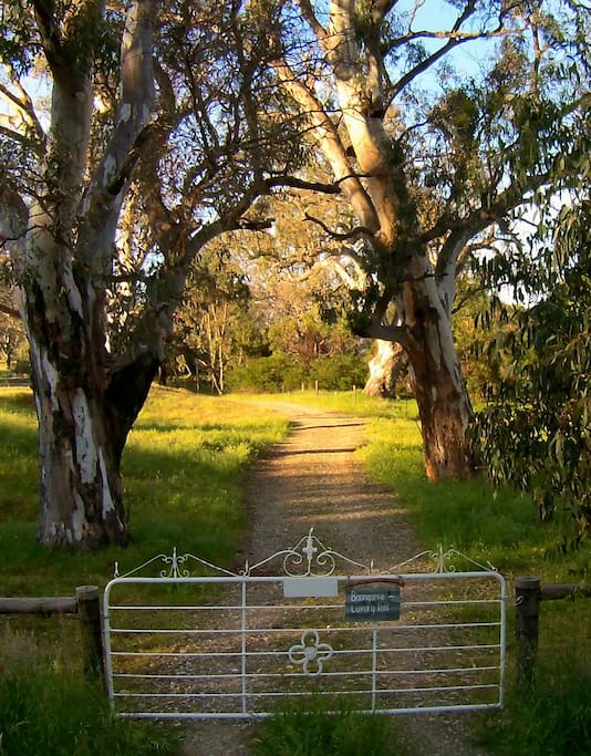 Welcome to our beautiful property and our newest accommodation venture Boongarrie Luxury Tent.
