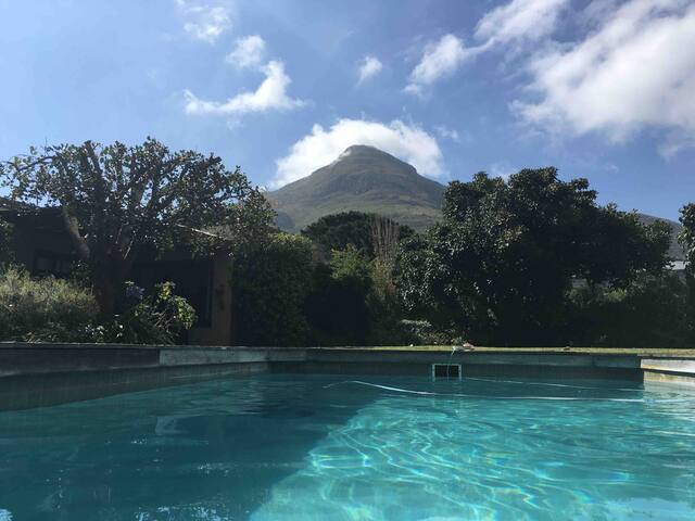 Spacious Family Home with 2 Cottages in Noordhoek gallery image 2