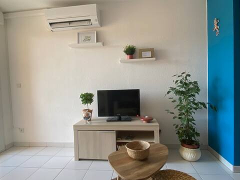 Propriété Airbnb réussie: Air-conditioned apartment, balcony, secure private parking à Cavaillon
