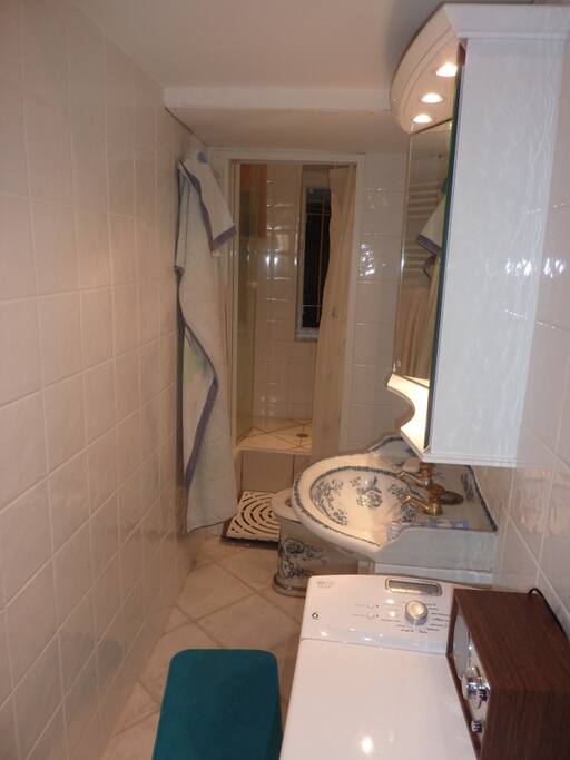 Salle d'eau avec douche, évier, toilettes, machine à laver