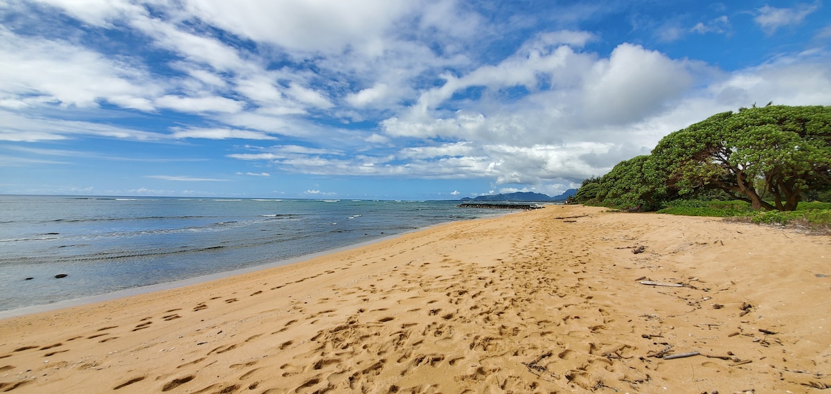 🥥Oceanfront in beautiful Coconut Coast#paradise🌞 – Photo 13