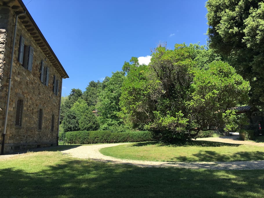 Side garden and entrance