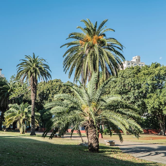 Foto av Banco Metropolitano
