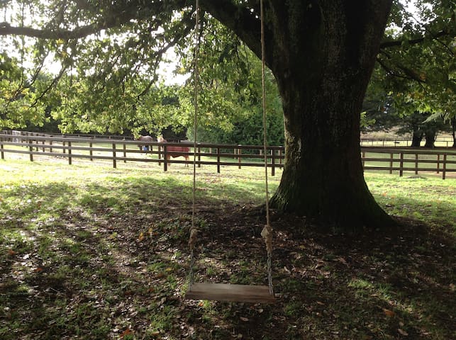 Big Oak Farm