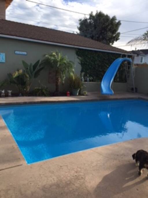 relax by the pool