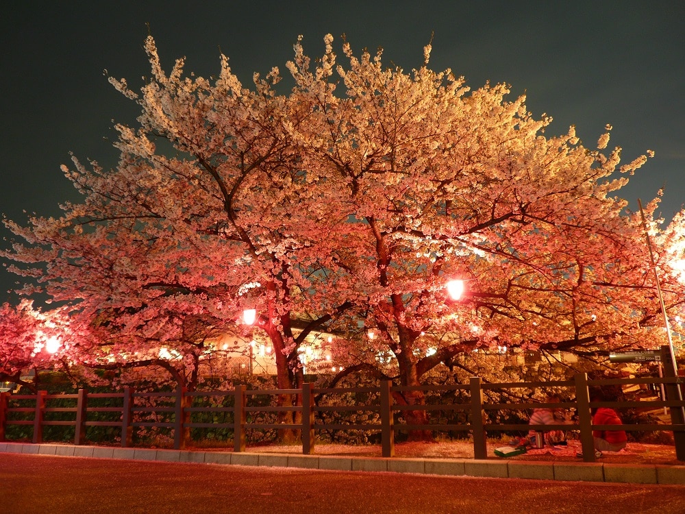 Kansai airport 15mins ZEN house EV充電可 - Huts for Rent in
