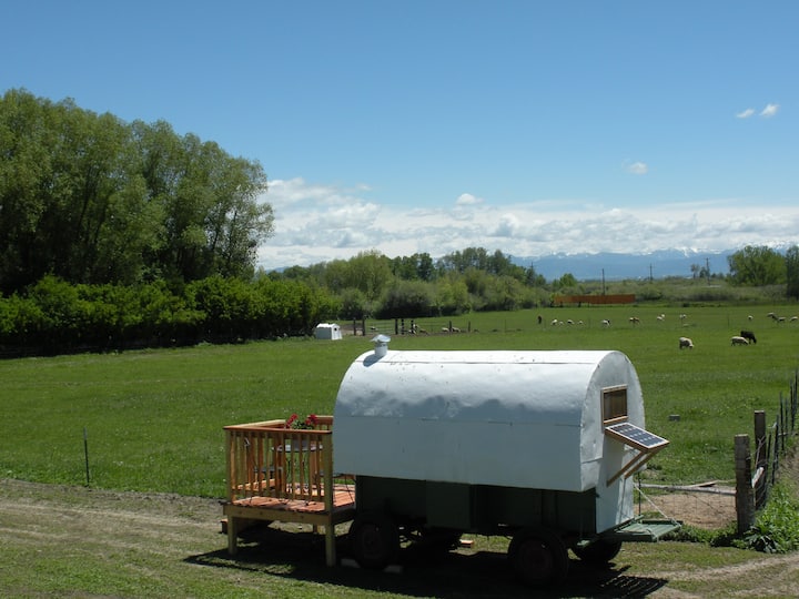 Antique Montana Sheepherder's Wagon