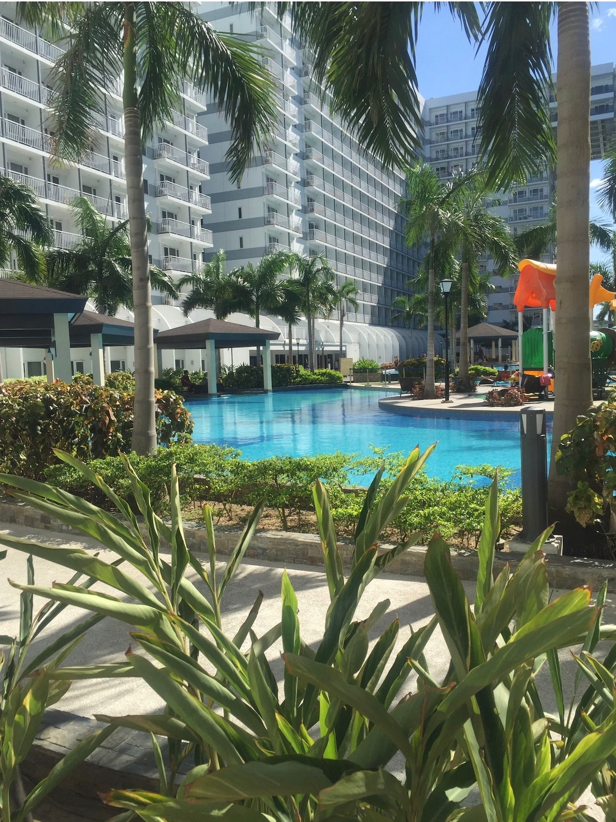 A serene swimming pool is surrounded by lush greenery and palm trees, reflecting sunlight under a clear blue sky. The pool area features lounge chairs and cabanas, with modern condo buildings in the background adding to the resort-like ambiance.