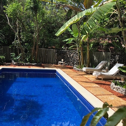 A serene pool area is surrounded by lush greenery, featuring vibrant banana plants and tall trees. Comfortable lounge chairs are positioned nearby, alongside a stone pathway bordered with reddish-brown mulch. The clear blue water of the pool reflects natural light, creating a calming atmosphere.