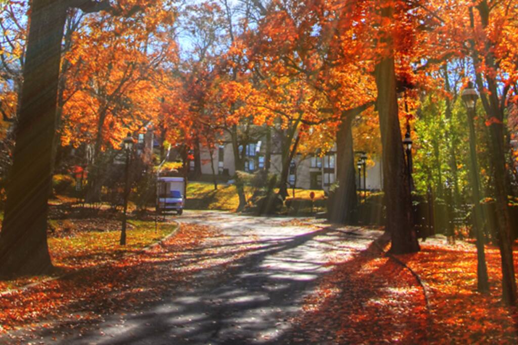 November our town :) It looks like this out every window!