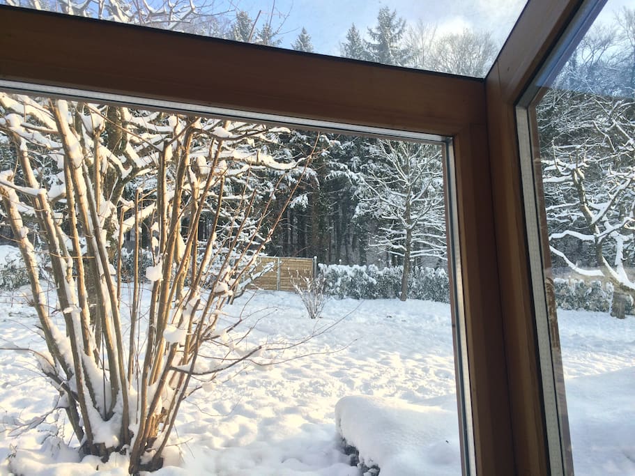 Winterstimmung -
Garten