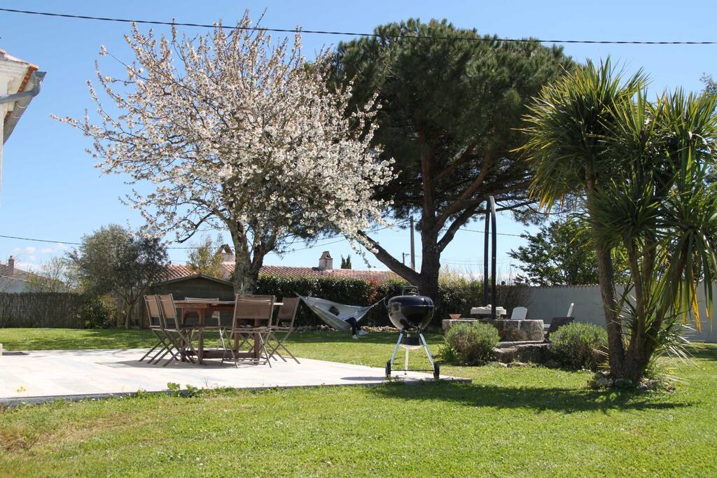 Jardin arboré avec un magnifique pin parasol, support naturel du hamac