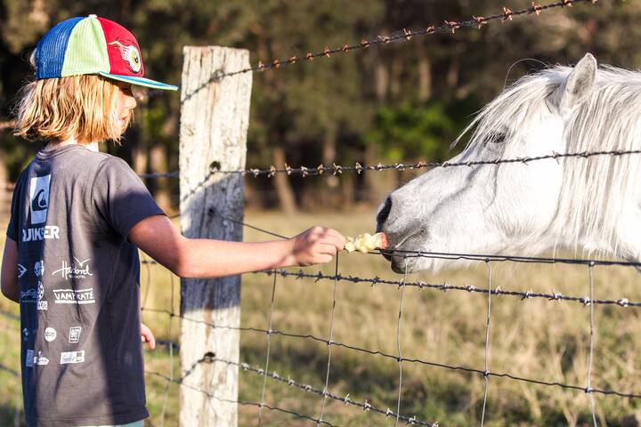 Casa Del Mare at Hallidays Point gallery image 2