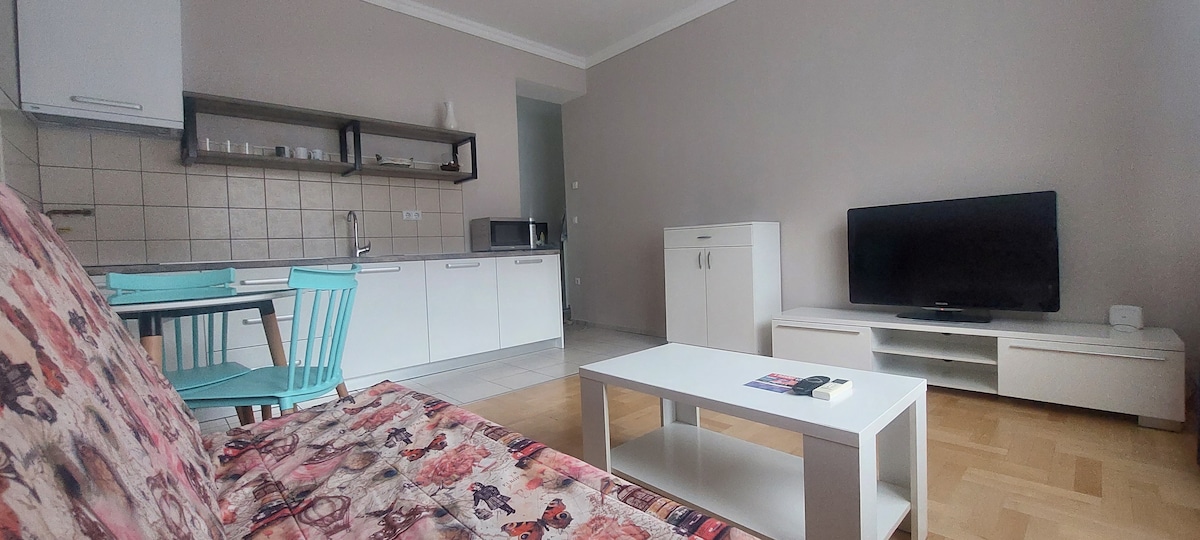 A living area is showcased, featuring a pullout sofa adorned with a colorful floral pattern. A white coffee table sits in front, paired with a light blue dining set. A modern kitchen is visible, equipped with essential appliances, while a flat-screen TV is positioned on a white media unit.